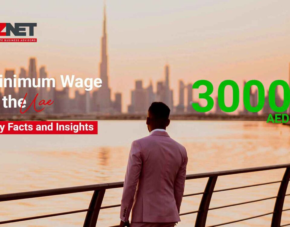 minimum wage in the uae