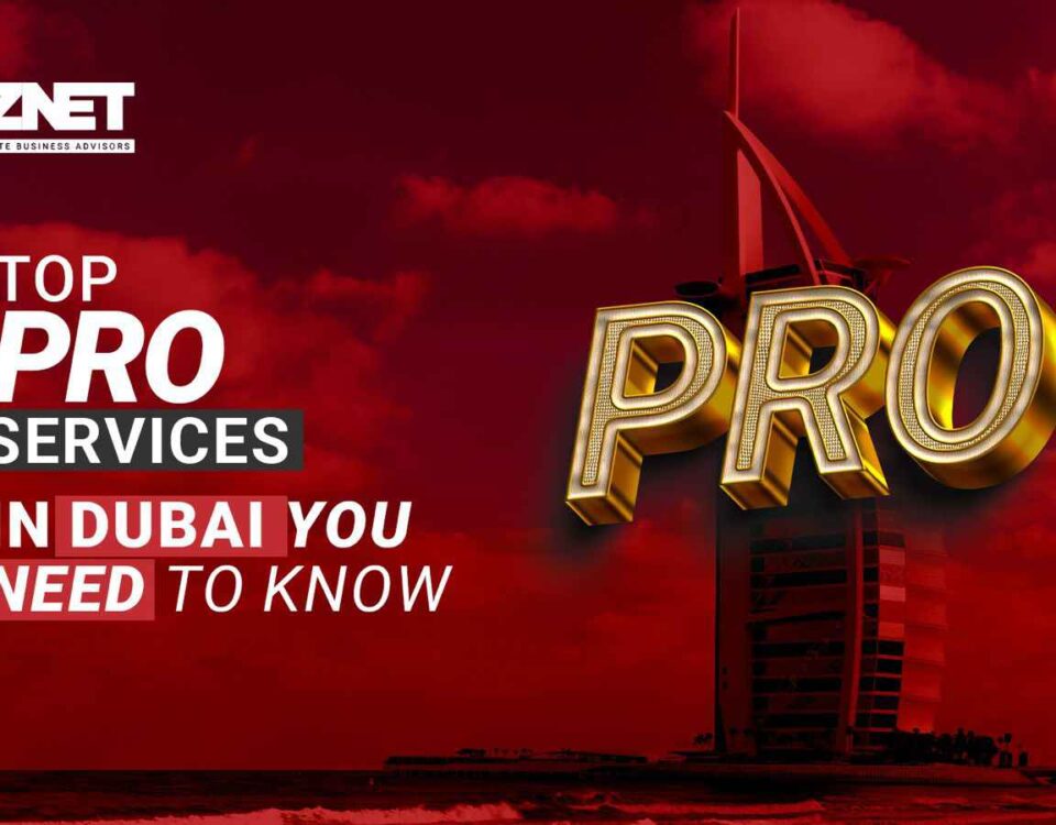 pro services in dubai