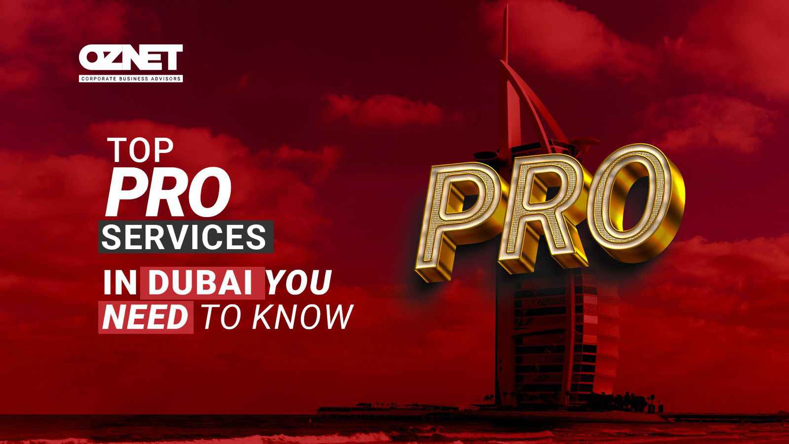 pro services in dubai